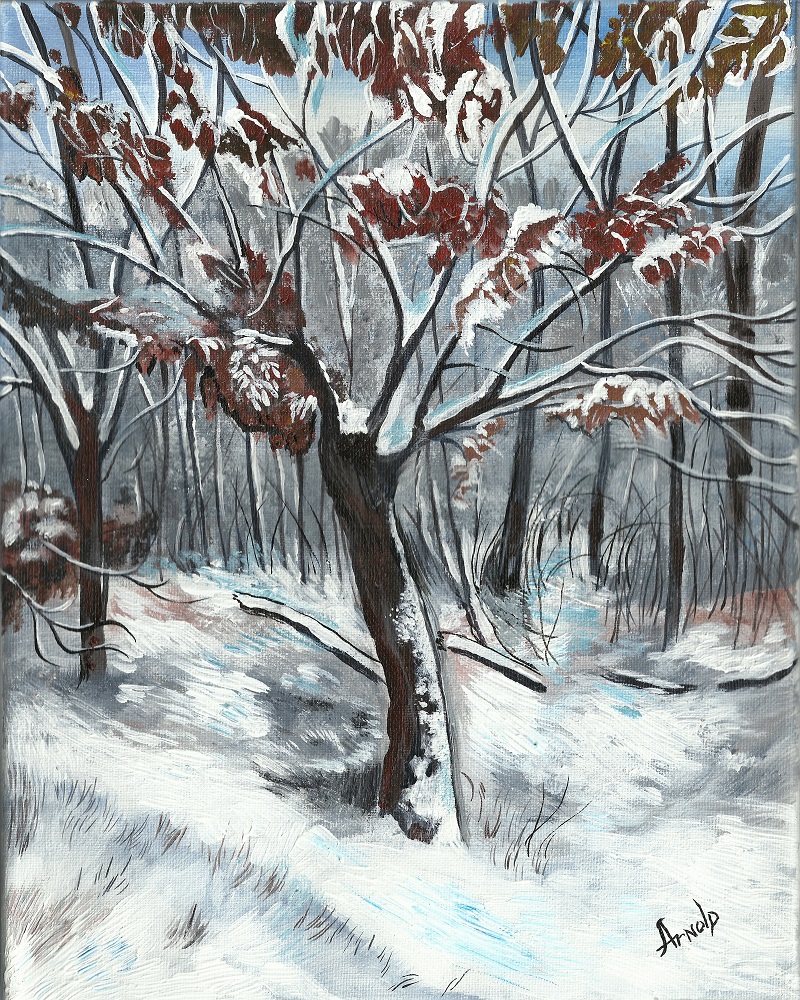 Snowy Oak by Patti Arnold